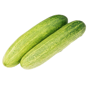 Cucumber