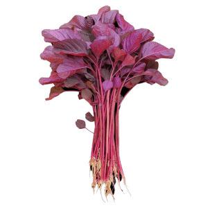 red-spinach