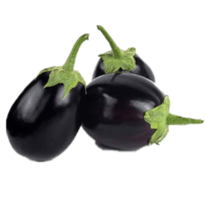 round-brinjal-black