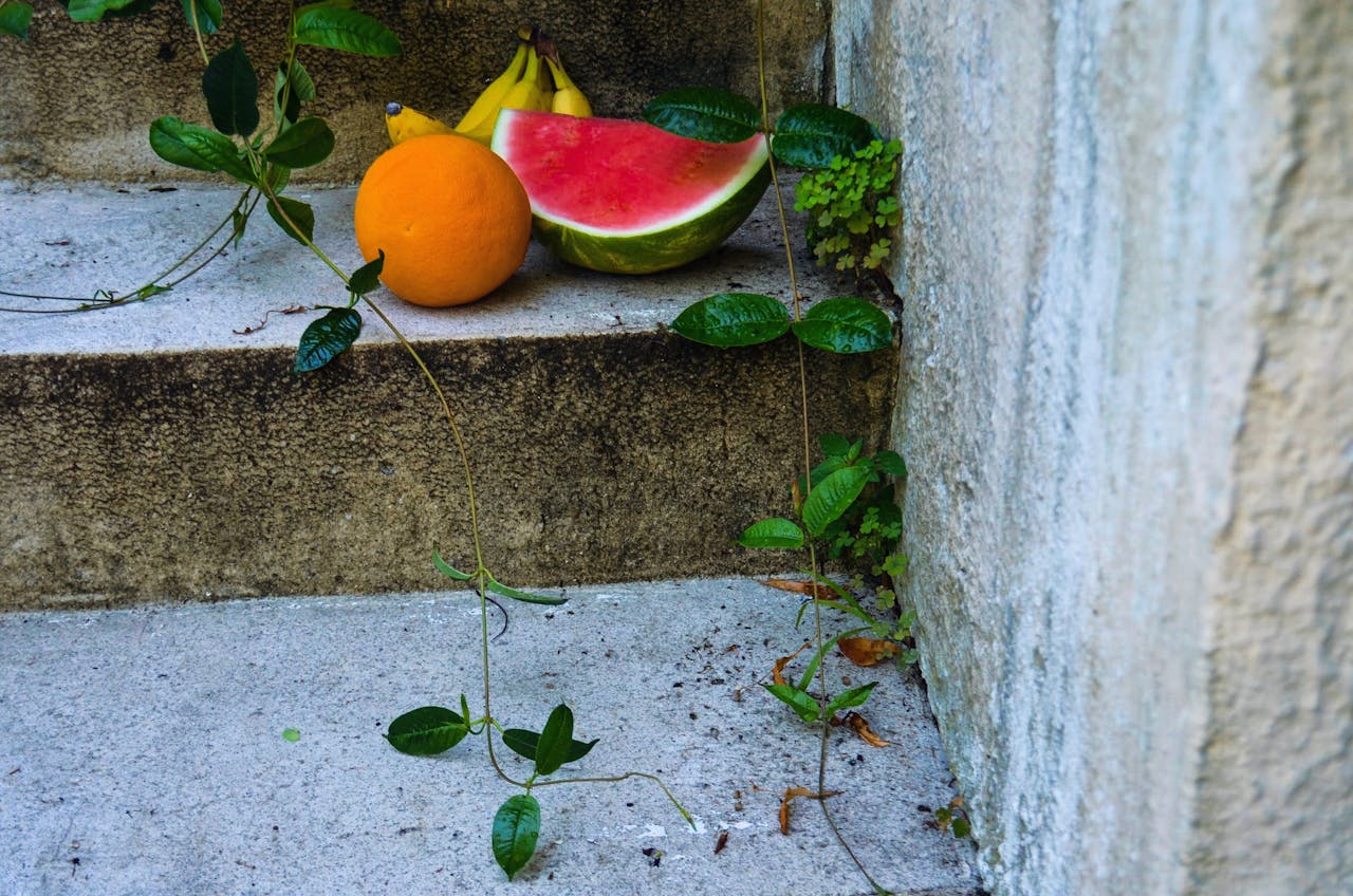 water melon