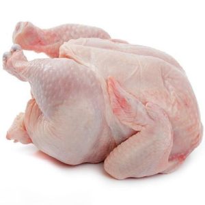 broiler chicken